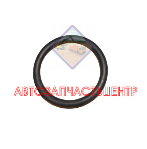 Кольцо уплотнительное форсунки Евро-2 HOWO VG1540040025